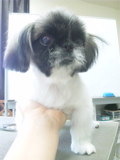 120117_140424.jpg