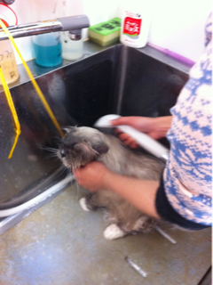 image-20120205173702.png