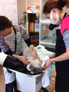 image-20120205173742.png