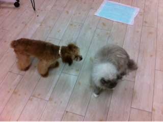 image-20120205174657.png
