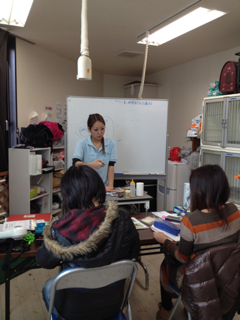 image-20120229153256.png
