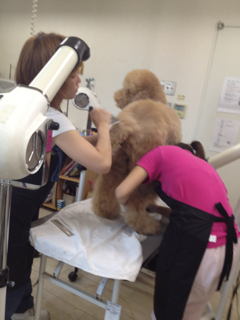 image-20120831202923.png