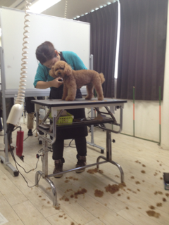 image-20120901221941.png