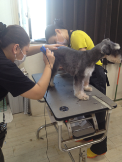image-20120928140417.png