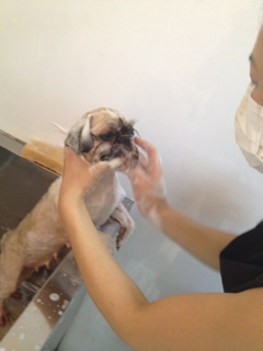 image-20120928140632.png