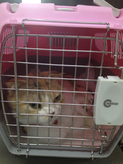 image-20120930015259.png