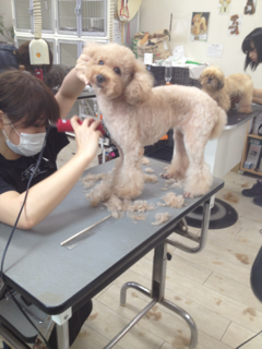 image-20121001133116.png
